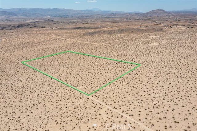 MLS #JT25181067 image #12