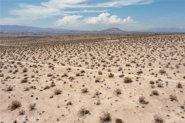 MLS #JT25181067 image #13