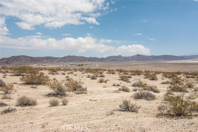 MLS #JT25181067 image #15