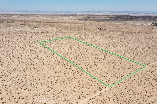 MLS #JT25181067 image #4