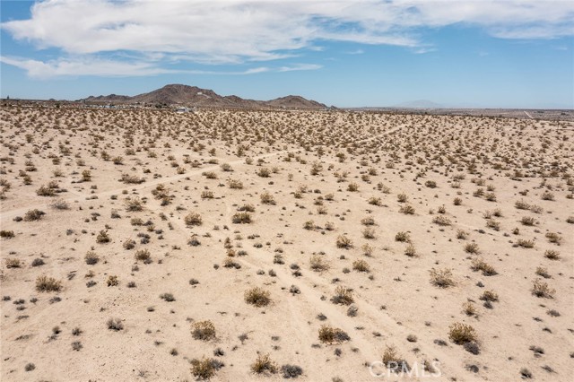 MLS #JT25181067 image #5