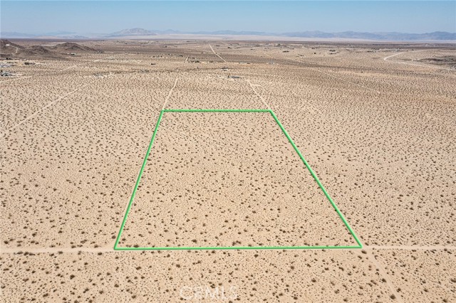 MLS #JT25181067 image #6