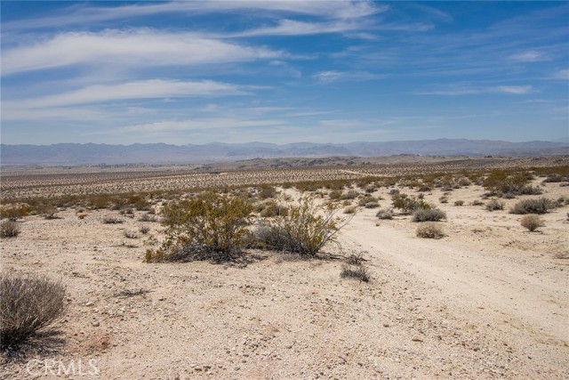 MLS #JT25181067 image #9