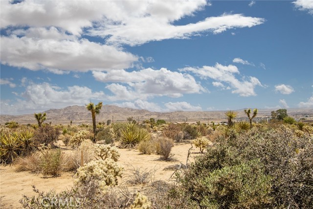 MLS #JT25183392 image #1