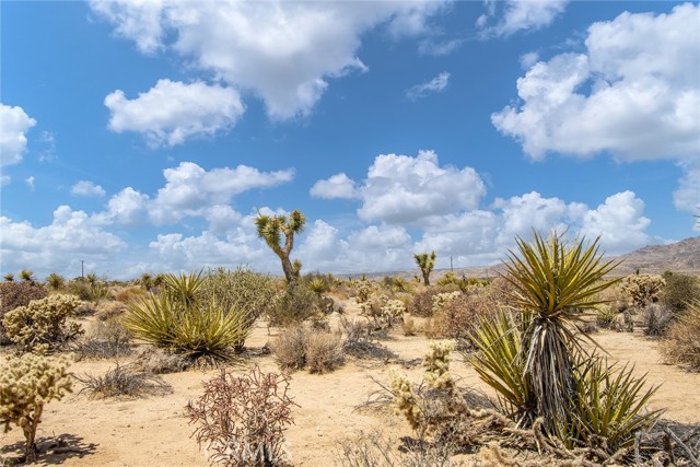 MLS #JT25183392 image #10