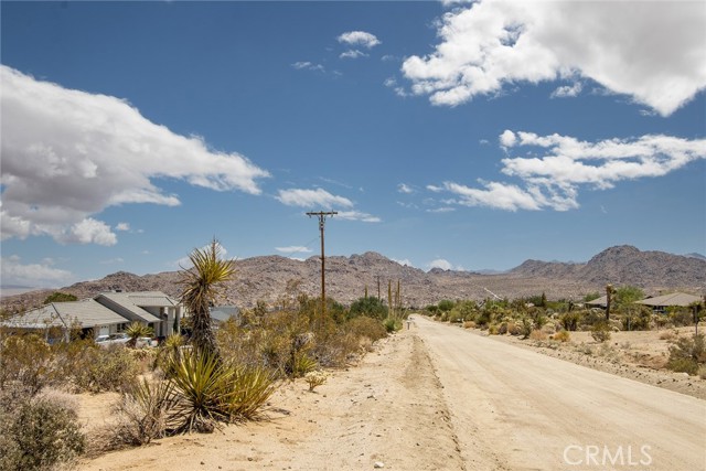 MLS #JT25183392 image #12