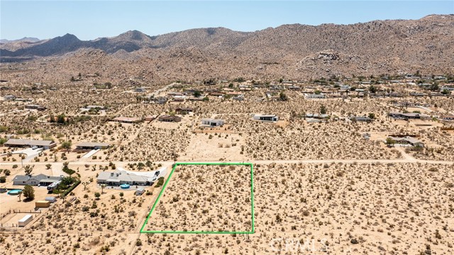 MLS #JT25183392 image #13