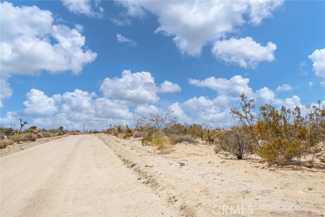 MLS #JT25183392 image #14