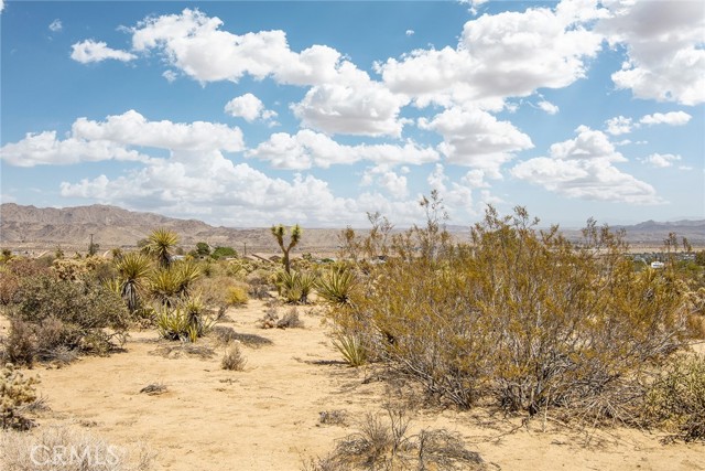 MLS #JT25183392 image #6