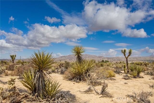 MLS #JT25183392 image #8