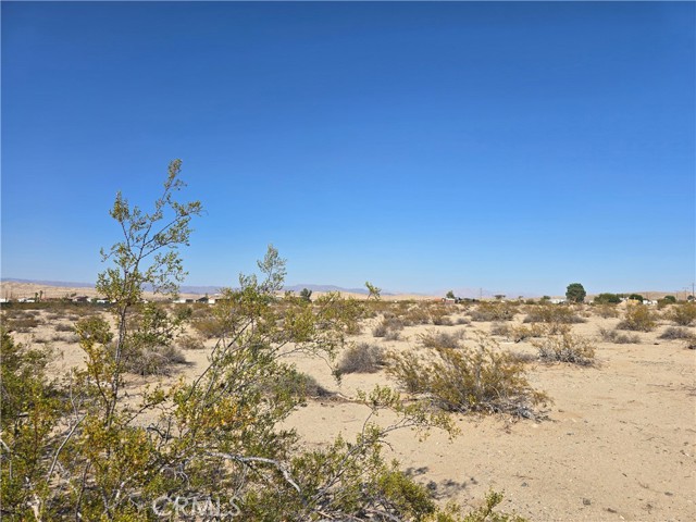MLS #JT25183918 image #1