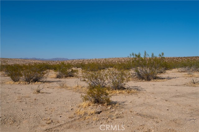 MLS #JT25184959 image #0