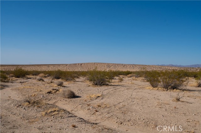 MLS #JT25184959 image #5