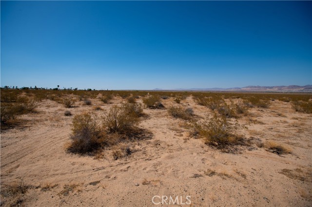 MLS #JT25185156 image #11