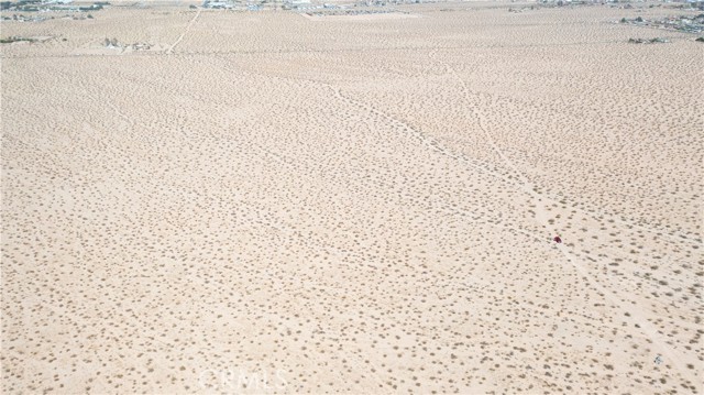 MLS #JT25185156 image #3