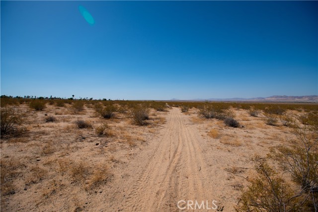 MLS #JT25185156 image #4