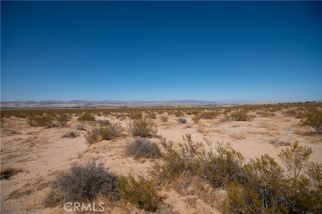 MLS #JT25185156 image #6