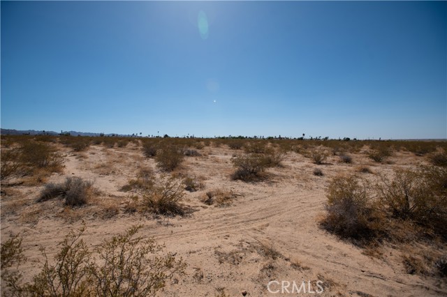 MLS #JT25185156 image #7