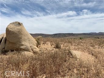 MLS #JT25187027 image #0