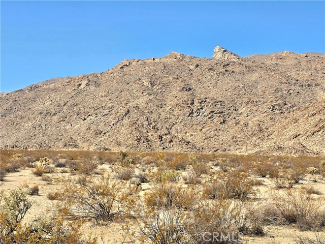 MLS #JT25187143 image #6