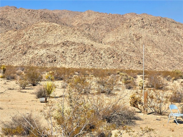 MLS #JT25187143 image #7