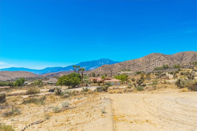 MLS #JT25190309 image #28