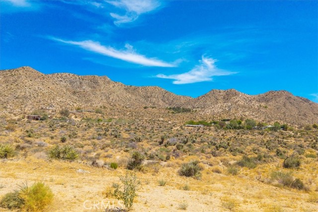 MLS #JT25190309 image #29