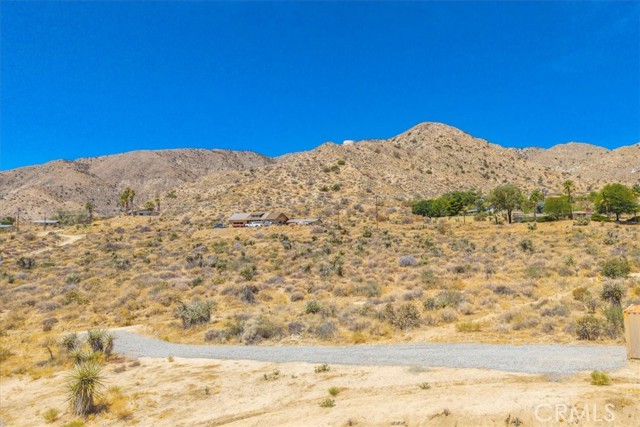 MLS #JT25190309 image #33