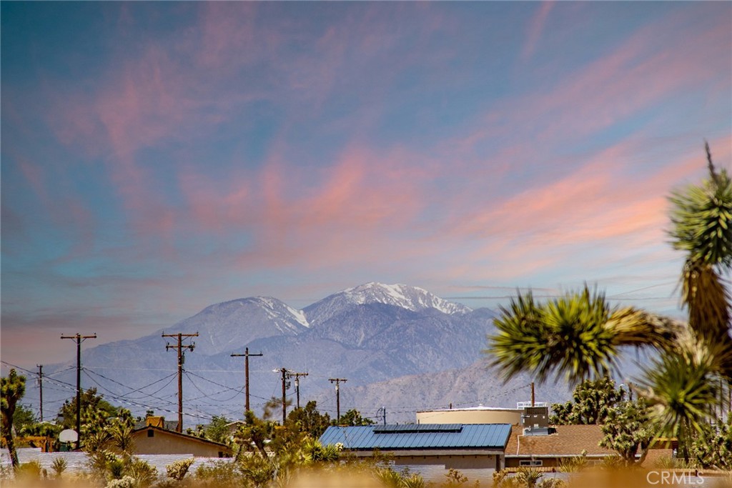 MLS #JT25193923 image #43