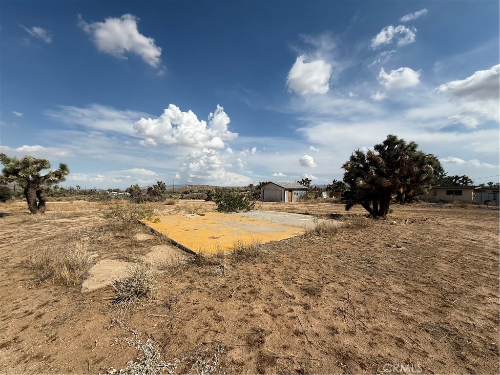 MLS #JT25196970 image #1