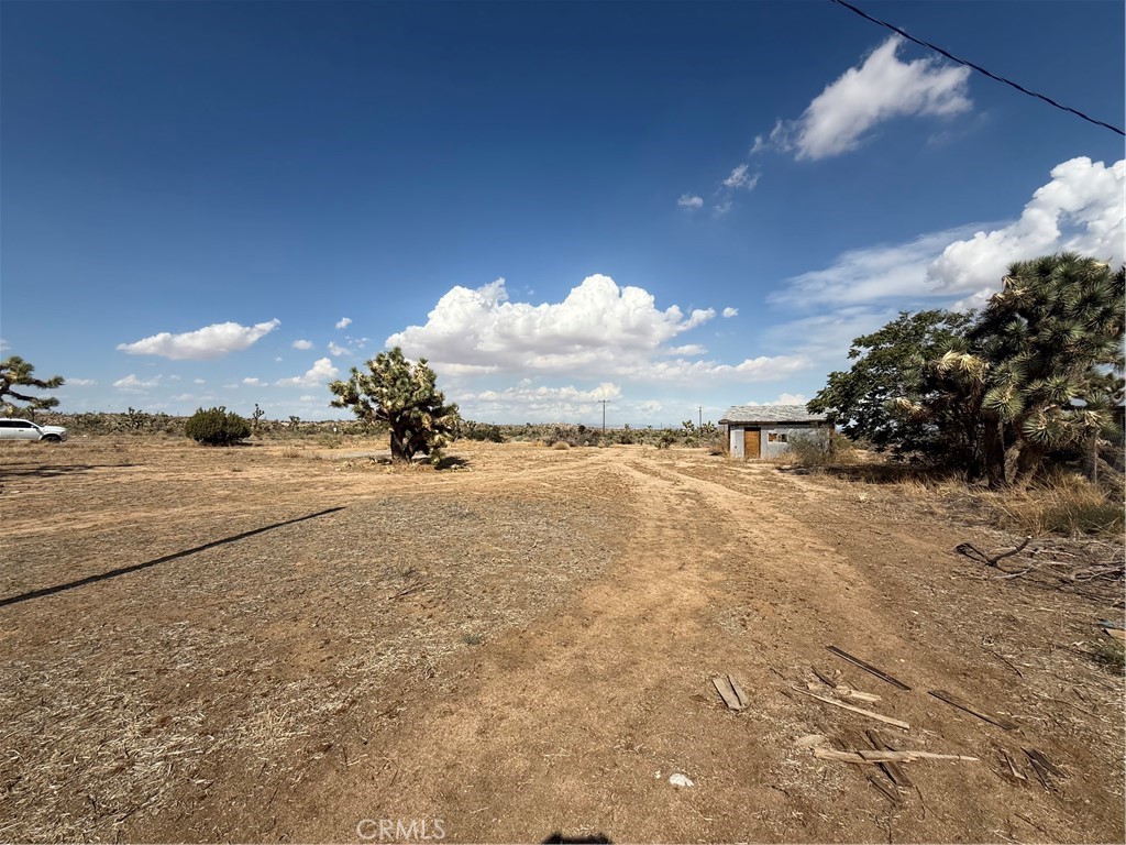 MLS #JT25196970 image #2