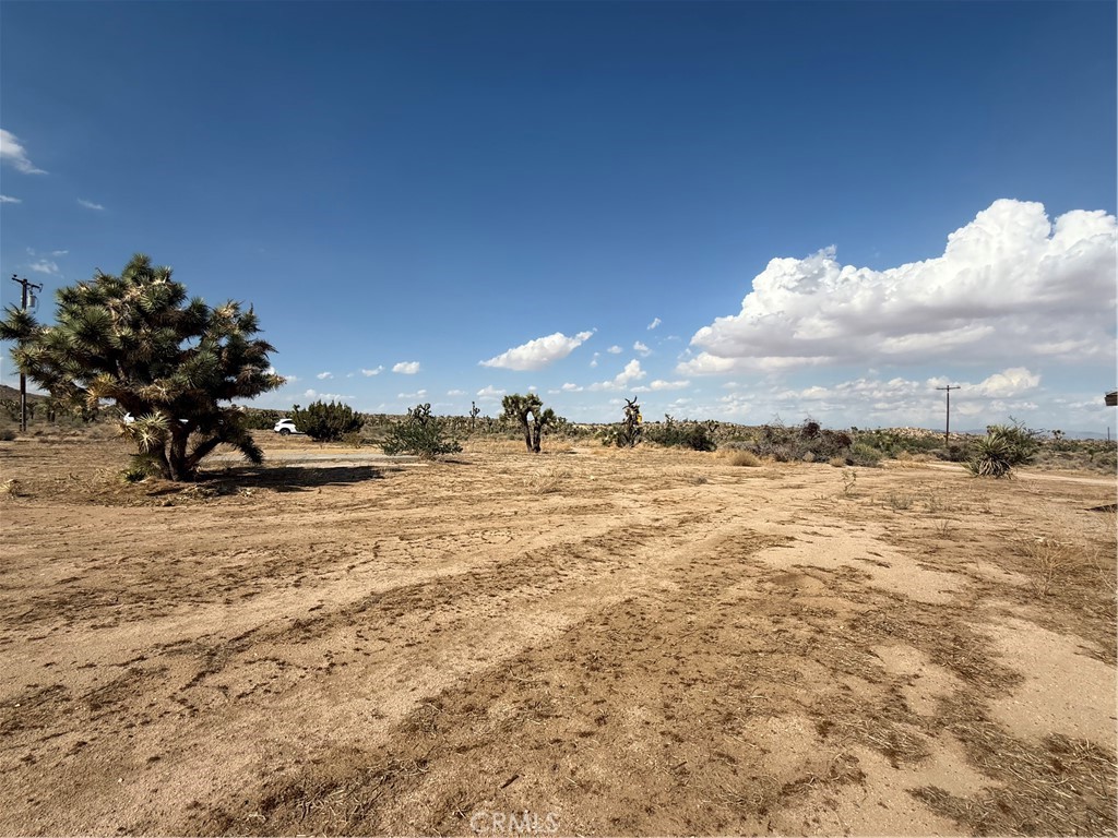 MLS #JT25196970 image #4