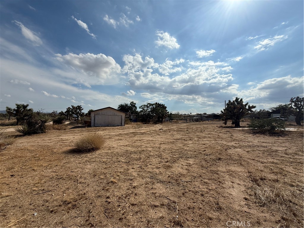 MLS #JT25196970 image #5