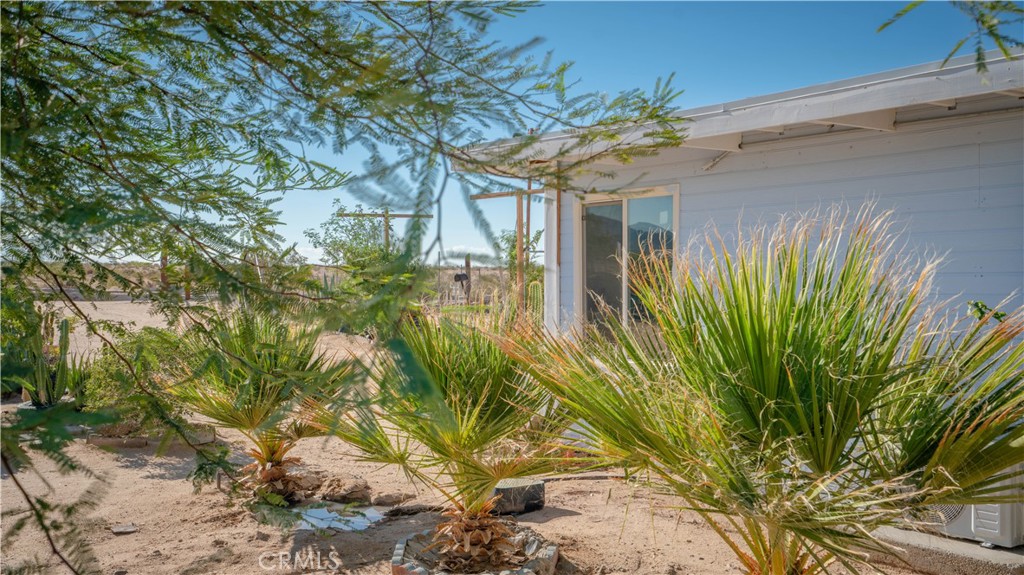 MLS #JT25198387 image #32