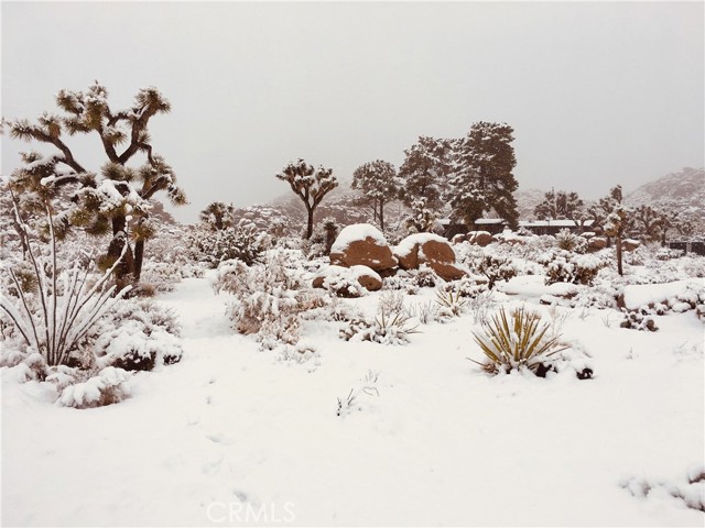 MLS #JT25199486 image #2