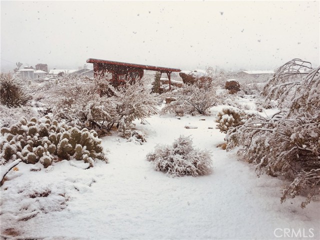 MLS #JT25199486 image #3