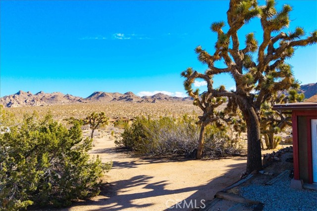 MLS #JT25199486 image #63