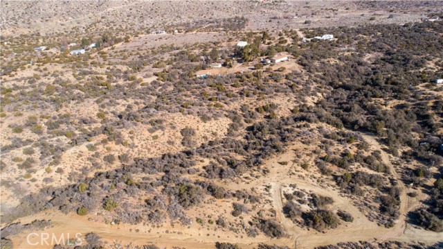 MLS #JT25202173 image #2