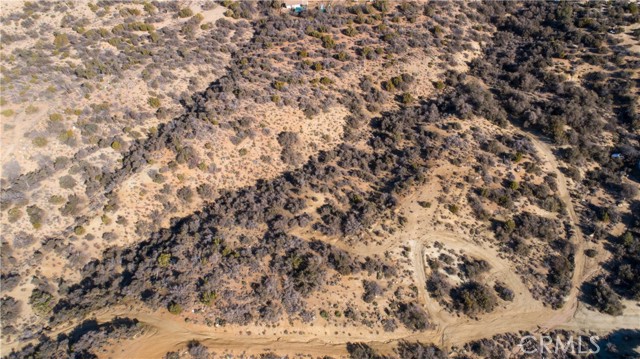 MLS #JT25202173 image #4