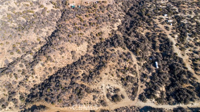 MLS #JT25202173 image #5