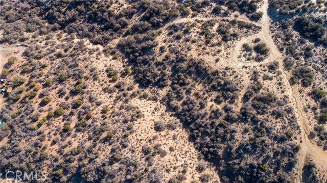 MLS #JT25202173 image #6