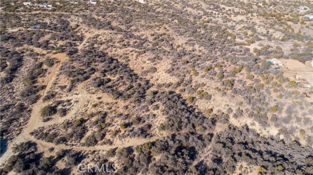 MLS #JT25202173 image #7