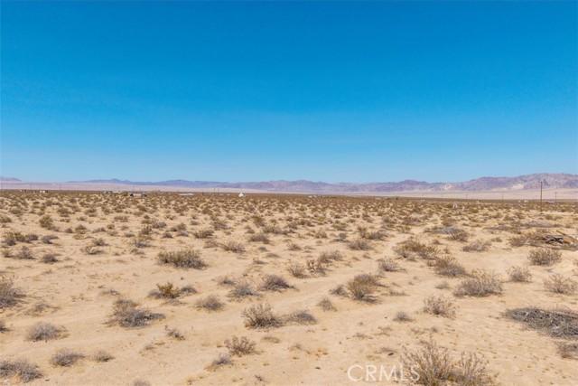 MLS #JT25215956 image #32