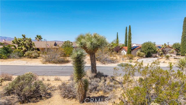 MLS #JT25216098 image #11