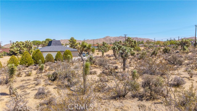 MLS #JT25216098 image #12