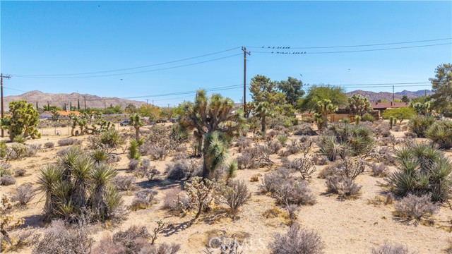 MLS #JT25216098 image #13