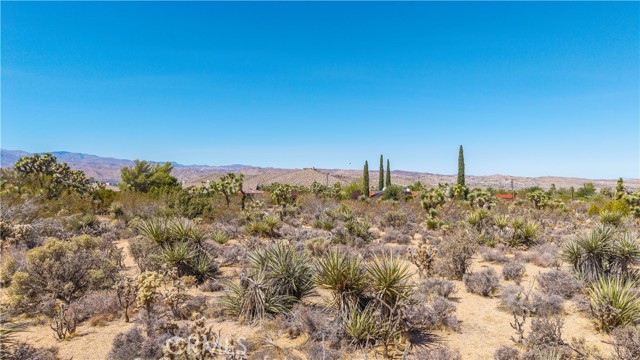 MLS #JT25216098 image #15