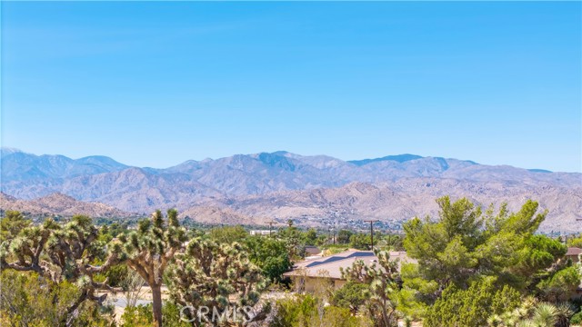 MLS #JT25216098 image #17