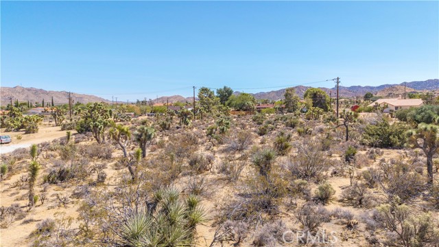 MLS #JT25216098 image #2