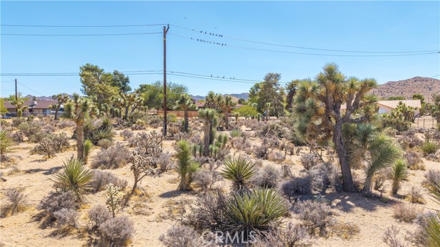 MLS #JT25216098 image #5